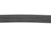 Дорожный пас Gates (5PK810) изображение 3