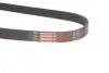 Поліклиновий ремінь Gates (5PK848) зображення 3