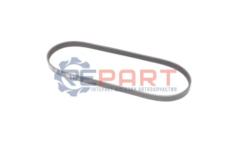 Ремінь генератора BMW 3 (E46) 98-05 Gates 5PK858 Купити в Україні