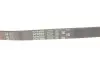 Фото Поліклиновий ремінь Gates (5PK885) зображення 5