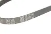 Фото Поліклиновий ремінь Gates (5PK903) зображення 5