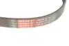 Фото Поліклиновий ремінь (6PK1019) Gates (6PK1019SF) зображення 2