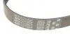 Фото Поліклиновий ремінь (6PK1019) Gates (6PK1019SF) зображення 3