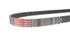 Фото Ремінь генератора Ford Focus/Kuga/C-Max 1.5 EcoBoost 14 Gates (6PK1027SF) зображення 4