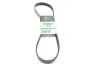 Ремінь генератора Renault Magnum 12.0 00- Gates (6PK1050HD) зображення 1