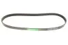 Ремінь генератора Renault Magnum 12.0 00- Gates (6PK1050HD) зображення 4