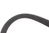 Фото Поликлиновый ремень Gates (6PK1060) изображение 3