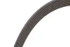 Фото Поліклиновий ремінь Gates (6PK1173) зображення 3