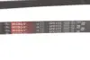 Фото Поліклиновий ремінь Gates (6PK1173) зображення 4