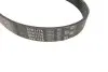 Фото Поліклиновий ремінь DACIA DUSTER, LOGAN II, LOGAN MCV II, SANDERO II NISSAN 350Z 1.5D/3.5 10.03 Gates (6PK1175) зображення 2