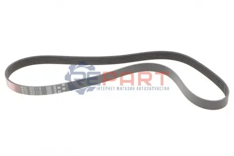 Ремінь генератора Audi Q5/Porsche Cayenne/Macan/Panamera/VW Touareg 1.0-5.4 94- Gates 6PK1178 Купити в Україні