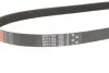 Фото Поликлиновый ремень Gates (6PK1183) изображение 2
