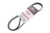 Фото Поликлиновый ремень Gates (6PK1210) изображение 2