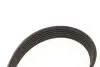 Фото Поліклиновий ремінь Gates (6PK1245) зображення 3