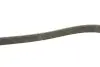 Фото Поліклиновий ремінь Gates (6PK1255) зображення 3