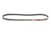 Фото Поліклиновий ремінь Gates (6PK1263) зображення 2