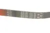 Фото Поліклиновий ремінь Gates (6PK1263) зображення 4