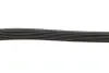 Фото Поліклиновий ремінь Gates (6PK1275) зображення 3
