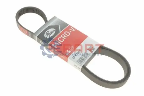 Ремінь генератора Fiat Doblo 1.3D Multijet/1.3JTD/Ford Focus 1.8/2.0 04- Gates 6PK1305 Купити в Україні