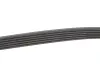 Фото Поліклиновий ремінь FIAT BRAVO II VW TRANSPORTER T4 1.9D/2.5 09.90-12.14 Gates (6PK1345) зображення 3