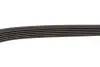 Фото Поліклиновий ремінь Gates (6PK1488) зображення 3