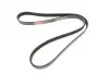 Фото Поликлиновый ремень Gates (6PK1513) изображение 4