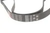 Фото Поліклиновий ремінь Gates (6PK1540) зображення 2