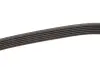Поліклиновий ремінь Gates (6PK1548) зображення 3