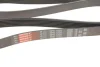 Поліклиновий ремінь Gates (6PK1555) зображення 5