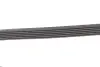 Фото Поліклиновий ремінь Gates (6PK1565) зображення 3