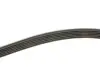 Фото Поліклиновий ремінь Gates (6PK1583) зображення 3