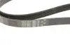 Фото Поліклиновий ремінь Gates (6PK1583) зображення 5
