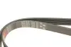 Фото Поликлиновый ремень Gates (6PK1613) изображение 4