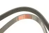 Фото Поликлиновый ремень Gates (6PK1613) изображение 5