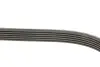 Фото Дорожный пас Gates (6PK1623) изображение 3