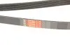 Фото Дорожный пас Gates (6PK1623) изображение 5