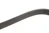 Поликлиновый ремень Gates (6PK1670) изображение 4