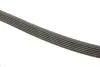 Фото Поліклиновий ремінь Gates (6PK1730) зображення 3