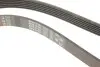 Фото Поліклиновий ремінь Gates (6PK1730) зображення 4