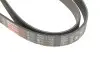 Фото Поліклиновий ремінь Gates (6PK1768) зображення 4