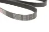 Фото Поліклиновий ремінь (6PK1823) Gates (6PK1823XS) зображення 2