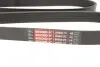 Фото Поліклиновий ремінь (6PK1823) Gates (6PK1823XS) зображення 3