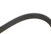 Фото Поліклиновий ремінь Gates (6PK1835) зображення 3