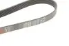 Фото Поліклиновий ремінь Gates (6PK1840) зображення 4