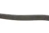 Фото Поликлиновый ремень Gates (6PK1873) изображение 3