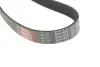 Фото Поликлиновый ремень Gates (6PK1875) изображение 4