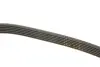 Фото Поліклиновий ремінь Gates (6PK1888) зображення 3