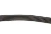 Фото Поліклиновий ремінь Gates (6PK2115) зображення 3