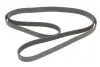 Фото Поліклиновий ремінь Gates (6PK2115) зображення 4