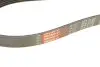 Фото Поліклиновий ремінь Gates (6PK2153) зображення 4